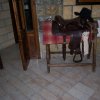 Pioppo 2008 (81)